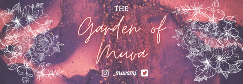 🦋 cover image