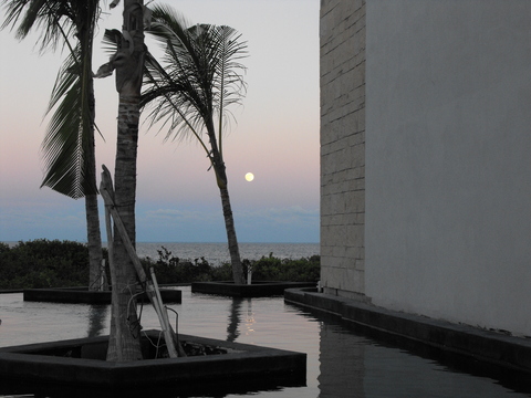 Juan Ma cover image