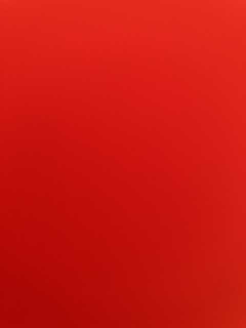 David cover image