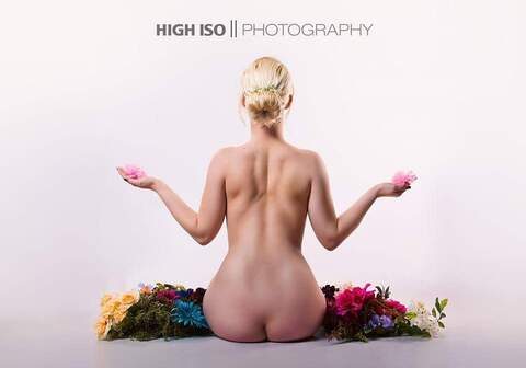 Darcie Belle FREE cover image