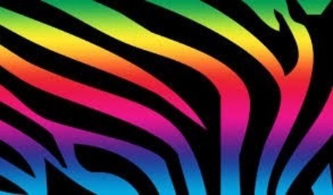PuertoRicanBree cover image