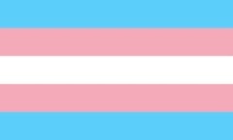 Tranny boi cover image