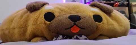 MisterJ cover image