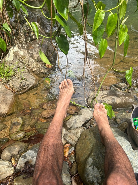 👣 CMF profile image