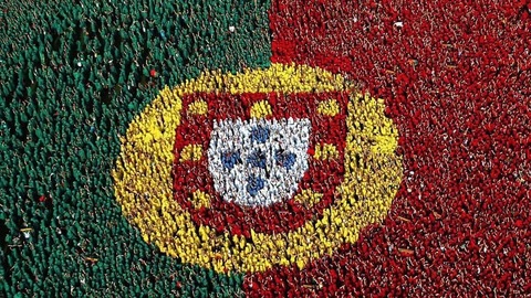 Portuguese Bear cover image