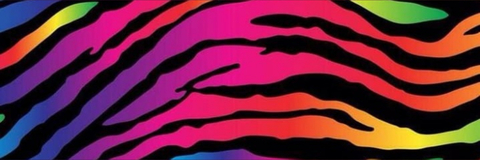 R ♡ J I T A S cover image