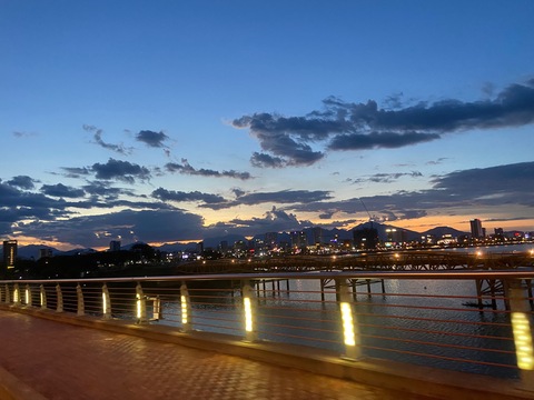 Con Cao Damdang cover image