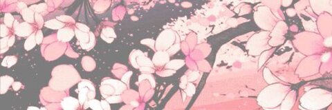 sushi 🎀 cover image