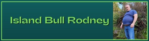 Island Bull Rodney cover image
