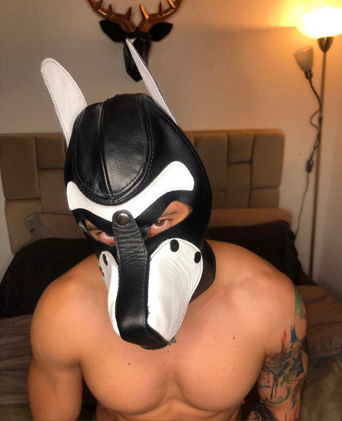 JoseMeirelesr cover image
