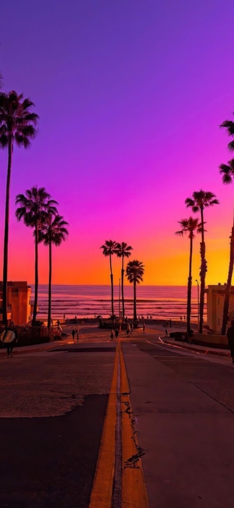 Monaco🪬Carter cover image