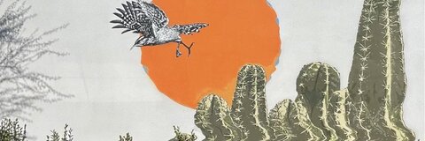 travis8x6 cover image