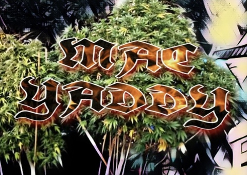 Mac Yaddy cover image