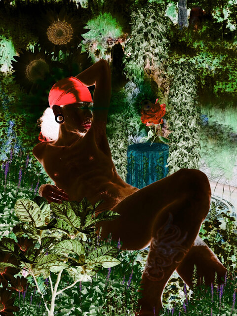 Joe Pear cover image