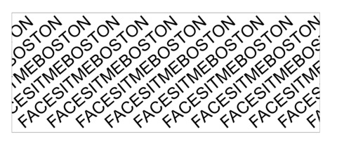 FACESITMEBOSTON cover image