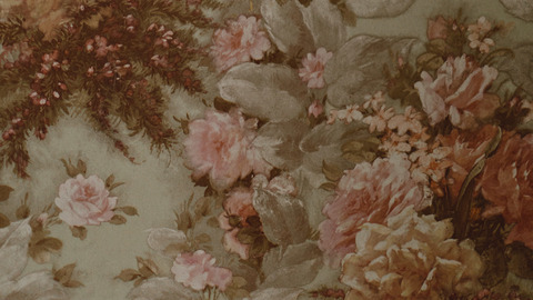 sydney shea cover image