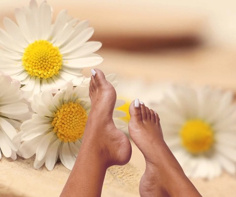 Daisy cover image