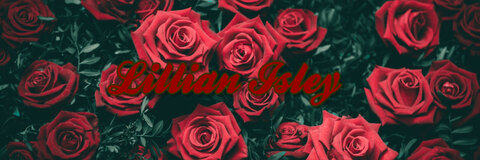 🥀Lily🥀 cover image