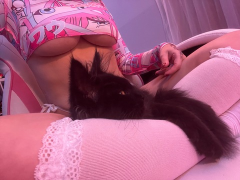 Kitty cover image