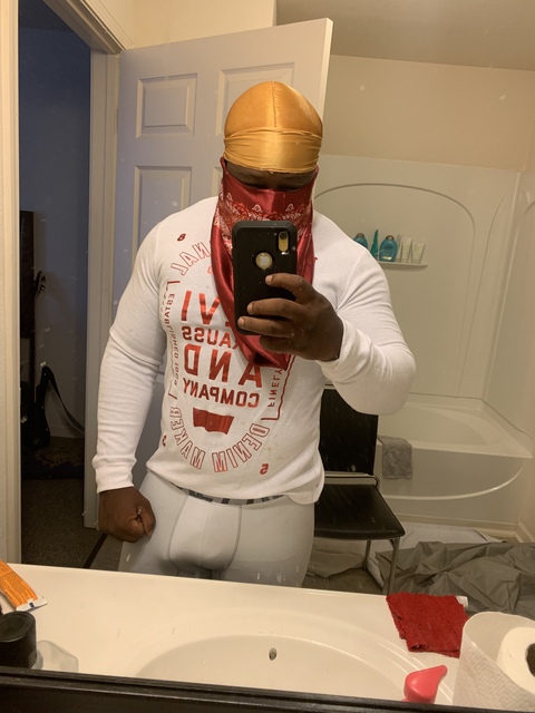 The Pussy Bandit cover image