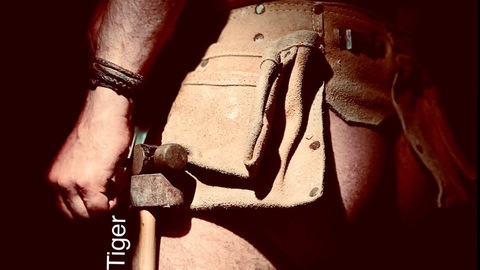 Hello There Tiger cover image