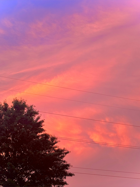 𝒜𝓇𝒾𝒶 cover image