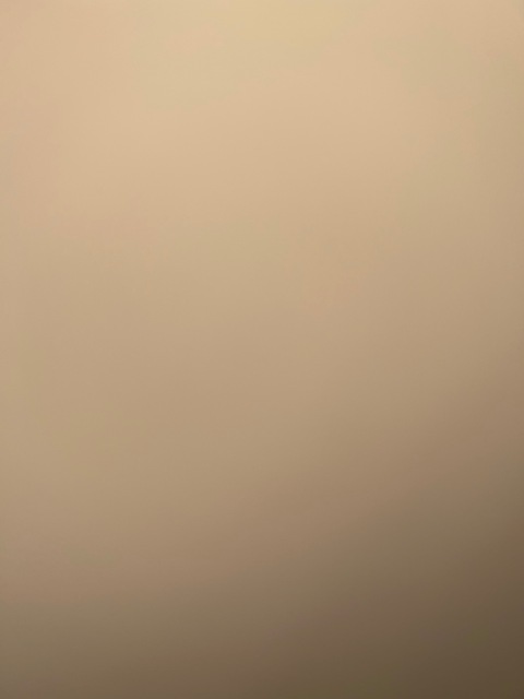 Katie cover image