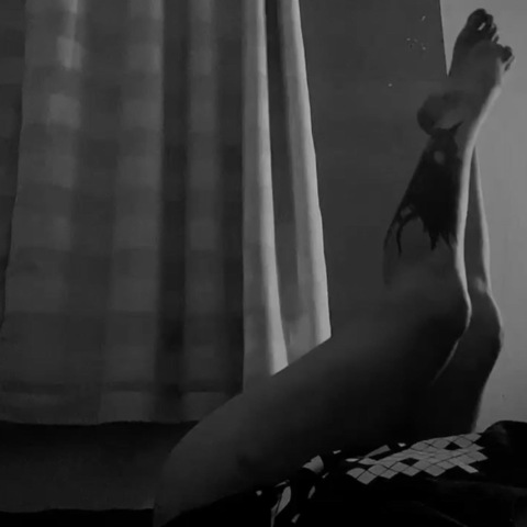 viviane luiza. cover image