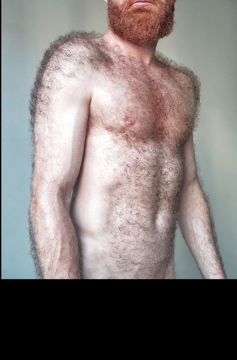 Ginger pubes cover image
