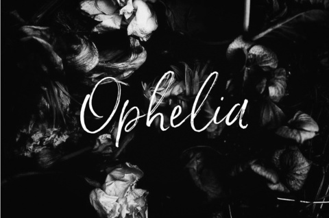 FREE Ophelia O’Neil cover image