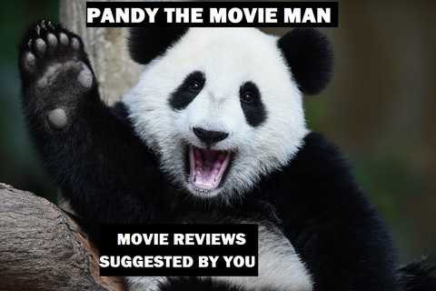 Pandy Andy cover image