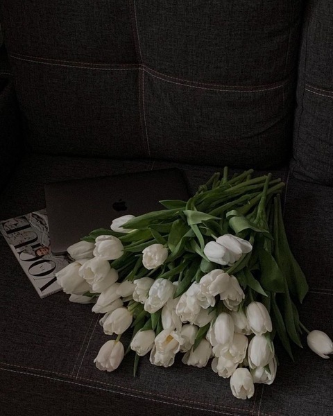 rthshrn cover image