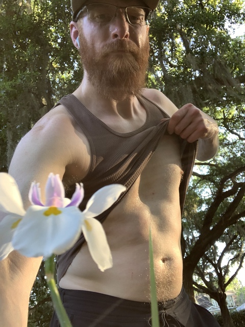 Gingerartist cover image