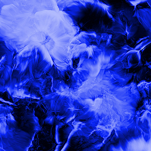 Arinxxx cover image