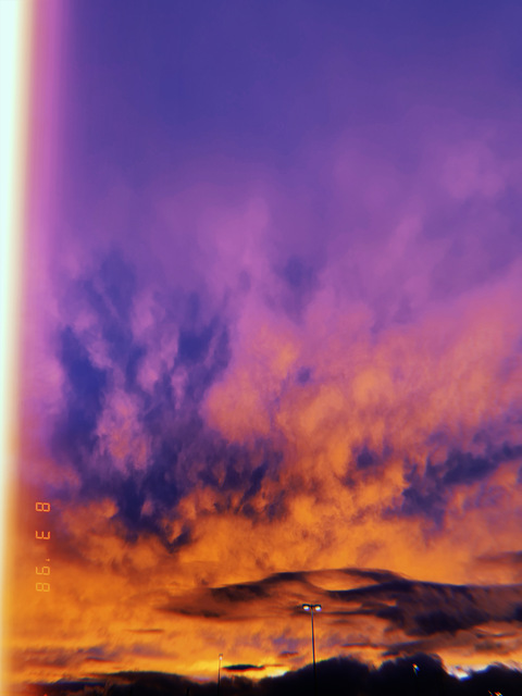 🌵 cover image