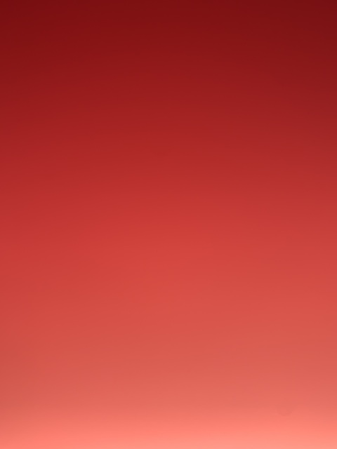 user69947157 cover image