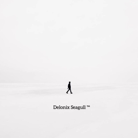 Delonix Seagull cover image