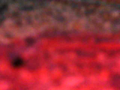 Fwm94 profile image