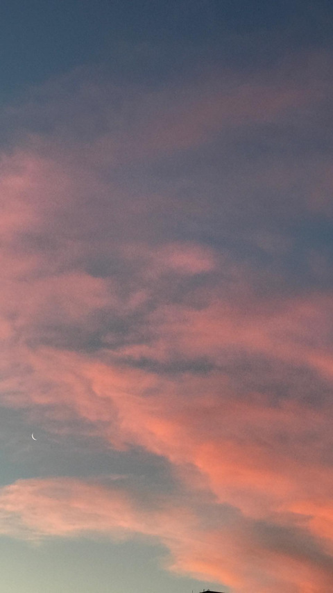 João cover image