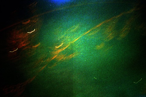2u2n2i cover image