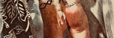 Anthony&amp;sabastian cover image