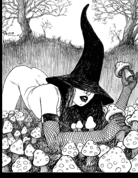 Miss Dame cover image
