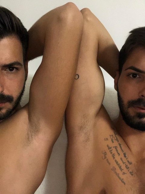 Twins-Bros cover image