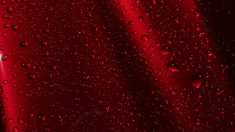 Lana cover image