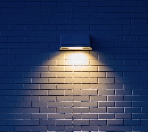 Tara Lynn cover image