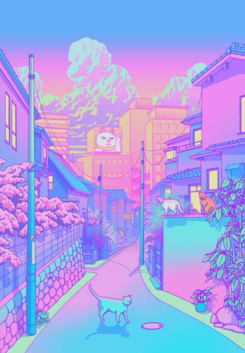 Danni meow cover image