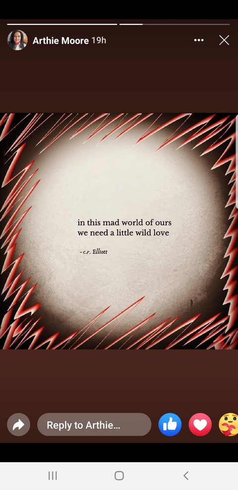 The Pleasure President cover image