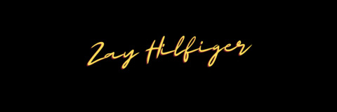 ZayHilfiger cover image