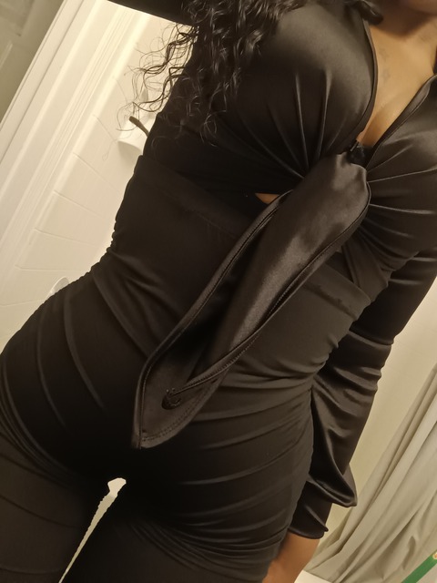 Ms.Curvy cover image