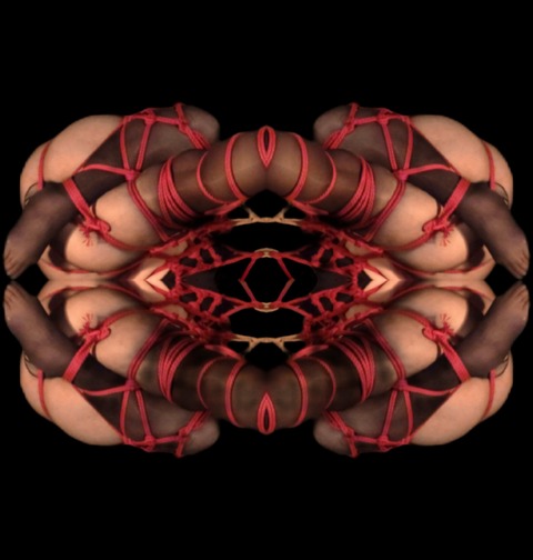 Patricia Columnbind cover image